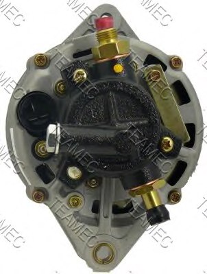 TEAMEC 211802 Alternator